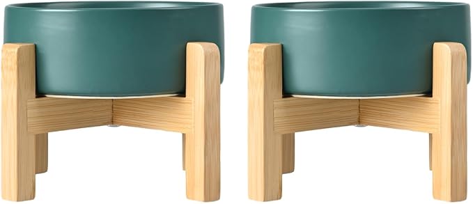 SPUNKYJUNKY Ceramic Elevated Dog Bowls 2 Pack - 5.1inch Raised Dog Bowls with Non-Slip Wooden Stand for Small Dogs Dishwasher Safe(Green,13.5OZ*2) by SPUNKYJUNKY