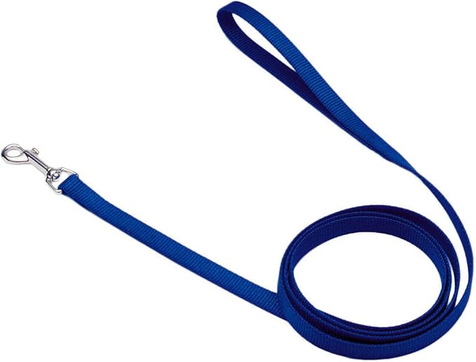 Coastal Pet Single-Ply Dog Leash - Sturdy Pet Leash - Comfortable & Stylish - Resists Fraying - Vibrant & Fade-Resistant Color - Blue, 5/8" x 6' by CoastalPet