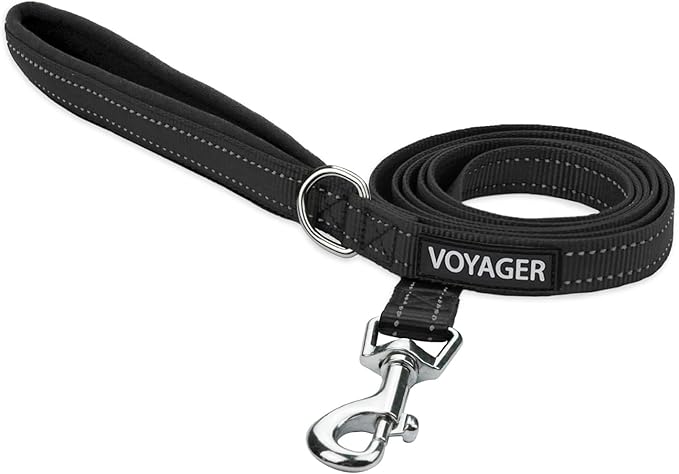 Best Pet Supplies Voyager Nylon Dog Leash - Black, Large | 5ft in Length, 1" in Width, Reflective, Soft Neoprene Handle, Heavy Duty Metal Clips for Running, Walking & Training by BestPetSuppliesLLC