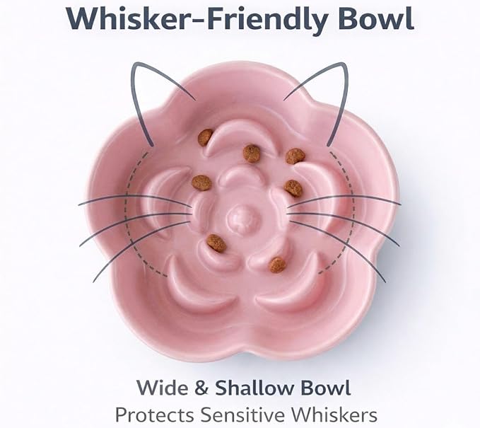 Elevated Ceramic Slow Feeder Cat Bowl, 15° Tilted Feeding Dish Helps Reduce Fast Eating and Vomiting, Whisker-Friendly Heavy Smooth Matte Ceramic, Dishwasher Safe (Blue/Pink) - Image 4
