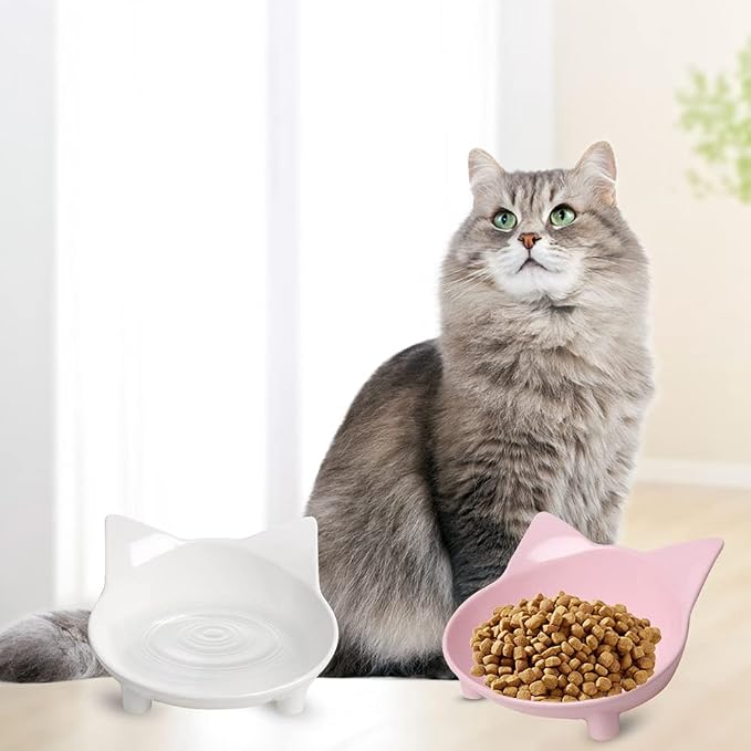 Cat Food Bowls, Non-Slip Shallow Wide Whisker Friendly Dishes for Indoor | Food Grade Safe Feeding Bowls for Kittens, Puppies & Rabbits, Easy to Clean, Relieves Whisker Fatigue, Ideal for Food & Water - Image 6