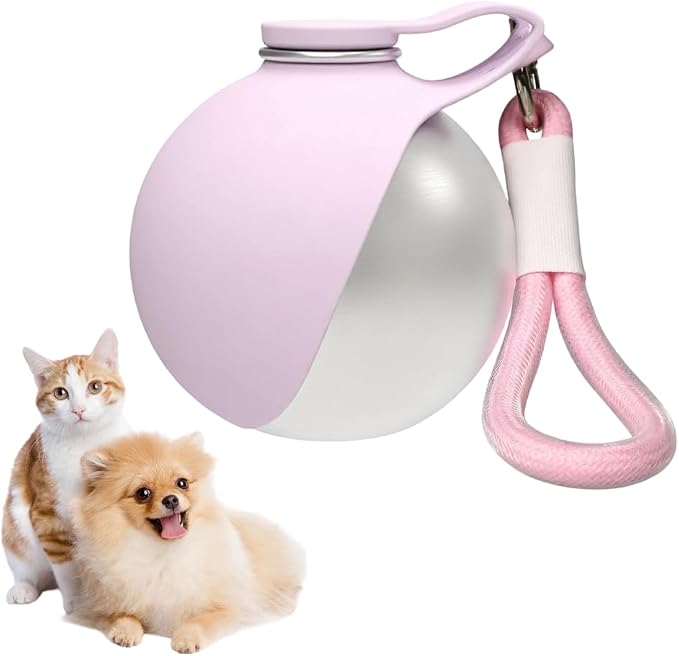 Portable Pet Water Bottle, 285ml/10 Oz Stainless Steel Compact Dog Drinking Bottles Leak Proof Cat Travel Water Bottles with Foldable Silicone Bowl for Outdoor Walking Hiking by Mioyoow