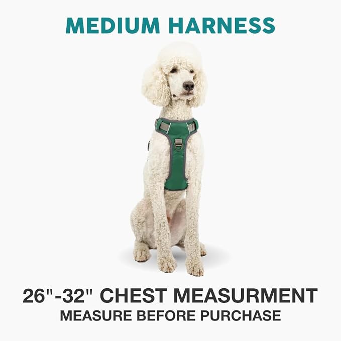 Embark No Pull Dog Harness, Reflective Adjustable Training Vest, No Choke | Adjustable straps fit all dog breeds with sturdy hooks; 360° reflective trim, soft padded Harness Design for All Dogs - Image 2