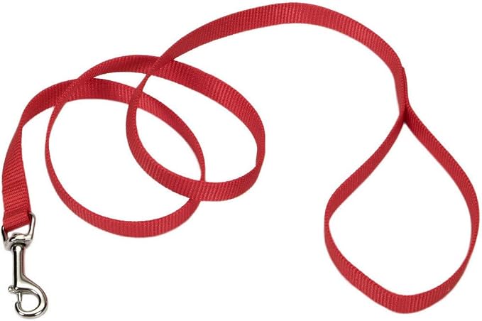Coastal Pet Single-Ply Dog Leash - Sturdy Pet Leash - Comfortable & Stylish - Resists Fraying - Vibrant & Fade-Resistant Color - Red, 5/8" x 6' by CoastalPet