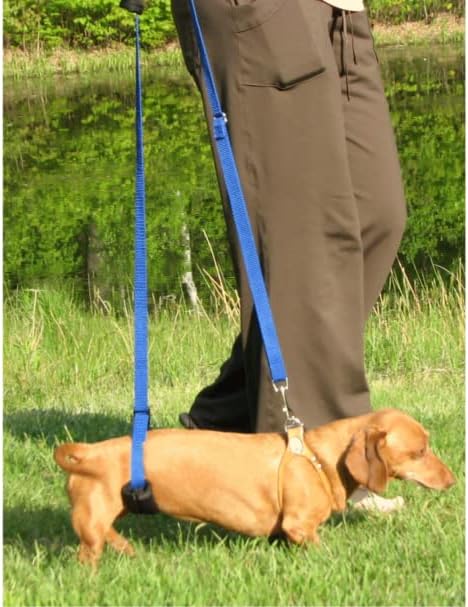 Dog Back Support IVDD Sling Harness, X-Small & Dachshunds | Fits Pets Under 25 lbs and Doxies, Walking Aid for K9s with Disc Disease, Fully Adjustable, Chest Harness NOT Included - Image 6
