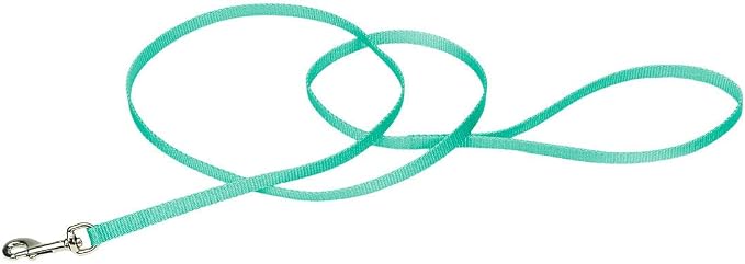 Coastal Pet Single-Ply Dog Leash - Sturdy Pet Leash - Comfortable & Stylish - Resists Fraying - Vibrant & Fade-Resistant Color - Teal, 3/8" x 6' by CoastalPet