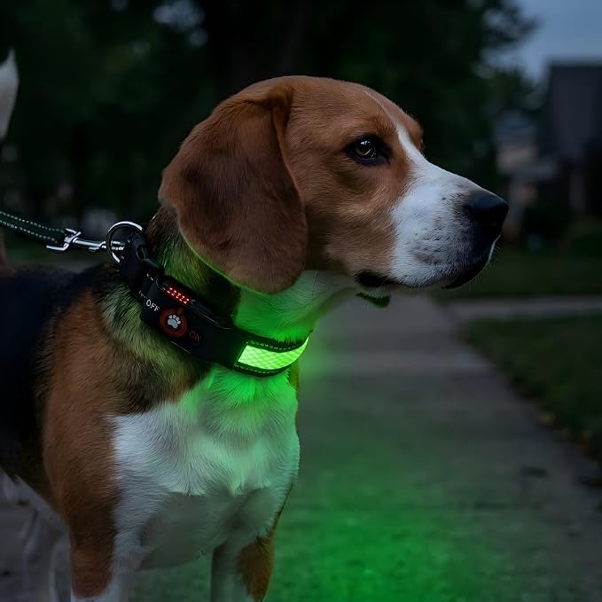 Light Up Dog Collar, 2026 Long-Lasting Power LED Dog Collar Lights for Night Walking, Rechargeable & Adjustable, Waterproof & Safety Glowing Collars for Small Medium and Large Dogs [Green-S] by Bamda