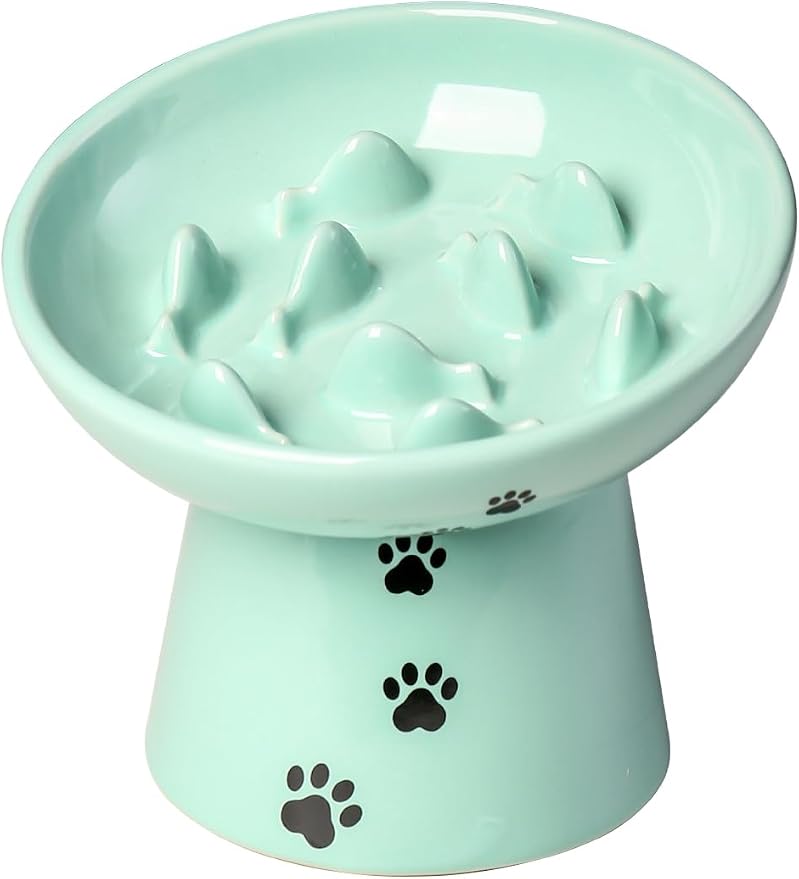 Y YHY Slow Feeder Cat Bowl, Ceramic Cat Slow Feeder Bowl, 6 Inches, Elevated, Anti Vomiting for Dry and Wet Food, Green by YYHY