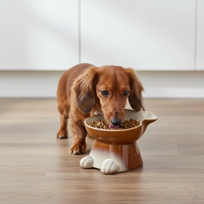Nihow Elevated Ceramic Dog Bowls: 6.5 Inch Raised Dog Bowl for Food & Water | Food Safe Bowl for Medium/Small Size Dogs - Brown Puppy Bowls for Protecting Pet's Spine(1 PC) - Image 8