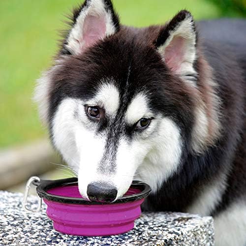 Kytely Large Collapsible Dog Bowls 2 Pack, 34oz Foldable Dog Travel Bowl, Portable Pet Water Food Bowl with Clasp, Pet Cat Feeding Cup Dish for Traveling, Walking, Hiking (Green+Purple) | Portable Dog Water Food Bowl with Clasp, Pet Cat Feeding Cup Dis... - Image 8