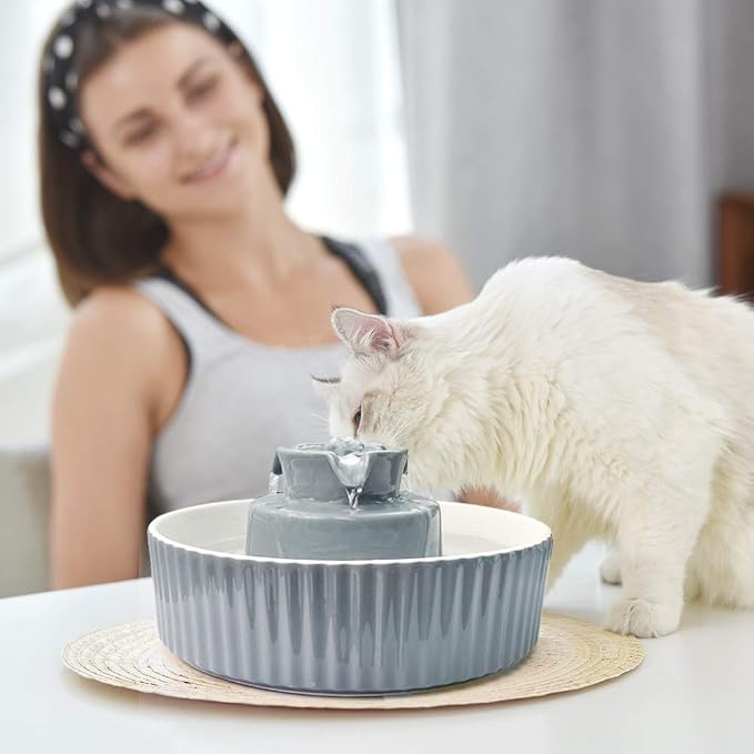 Pet Drinking Fountain: Cepheus 2.1L/71oz Cat Fountain-Automatic Water Fountain for Cats and Dogs with with Ultra-Quiet Pump(Grey) - Image 6