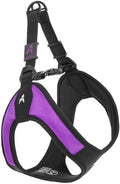 Gooby Escape Free Easy Fit Dog Harness, Step-in, Purple, Large | Patented escape-free frame; Contracts if they back out; Step-in easy on/off; Machine washable; Light POM leash ring by Gooby