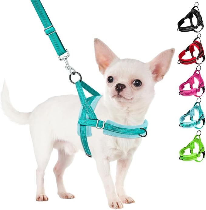 SlowTon No Pull Small Dog Harness and Leash Set with Front Clip | Soft Padded, Neck & Chest Adjustable, Lightweight, Anti-Twist, Puppy Vest Harness Pet Lead Combo for Small Medium Dog, TL XXS by SlowTon