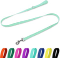 Waterproof Dog Leash, 5/6 FT Durable Odor-Proof Dog Leashes with Strong Metal Hooks Fits Small Medium or Large Dogs (Mint Green, 5FT - 3/4 inch Width) by KiddingPets