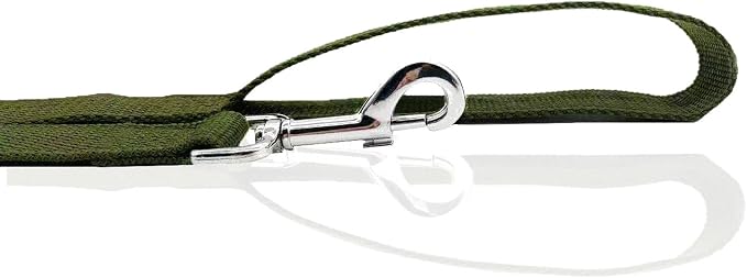 Nylon Dog Leash 4 Ft 5 Feet 6 Foot Long, Walking Training Dog Leashes for Medium Large Dogs, 1 Inch Wide (1" X 5 ft, Green) - Image 4