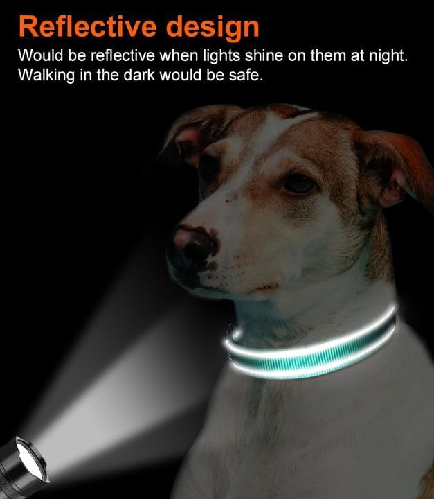 Joytale Reflective Dog Collar, Adjustable Neoprene Padded, Teal L | Breathable Nylon for Large Dogs, No Chafing on Walks and Outdoor Hikes, Tear-Resistant Webbing, Metal D-Ring, Night Safety - Image 5