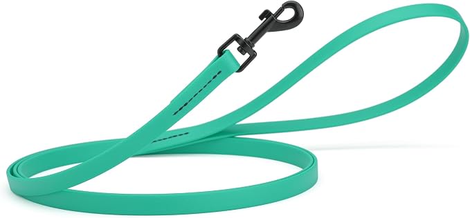 Dogline Biothane Waterproof Dog Leash Strong Coated Nylon Webbing with Black Hardware Odor-Proof Easy to Clean High Performance for Small or Large Dogs Made in USA 4 or 6 ft Lead, Teal by Dogline