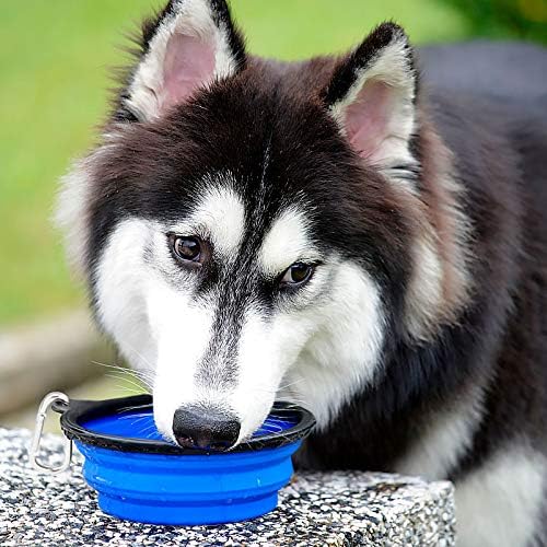 Kytely Large Collapsible Dog Bowls 2 Pack, 34oz Foldable Dog Travel Bowl | Portable Dog Water Food Bowl with Clasp, Pet Cat Feeding Cup Dish for Traveling, Walking, Parking - Image 6