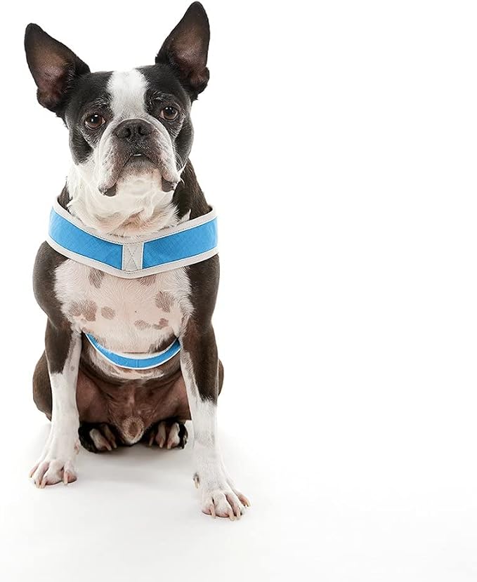 Gooby Simple Step-in III Dog Harness, Blue, Small | Slide-to-fit chest strap; Breathable inner mesh; Scratch-resistant outer; Quick-release buckle; Durable POM leash ring - Image 3