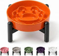 Elevated Slow Feeder Dog Bowl, 0.8 Cups Ceramic Raised Slow Feeder with Stainless Stand, 6.3 Inch Wide Lifted Dog Bowl for Small Breeds to Control Eating Speed, Orange by PTOBER