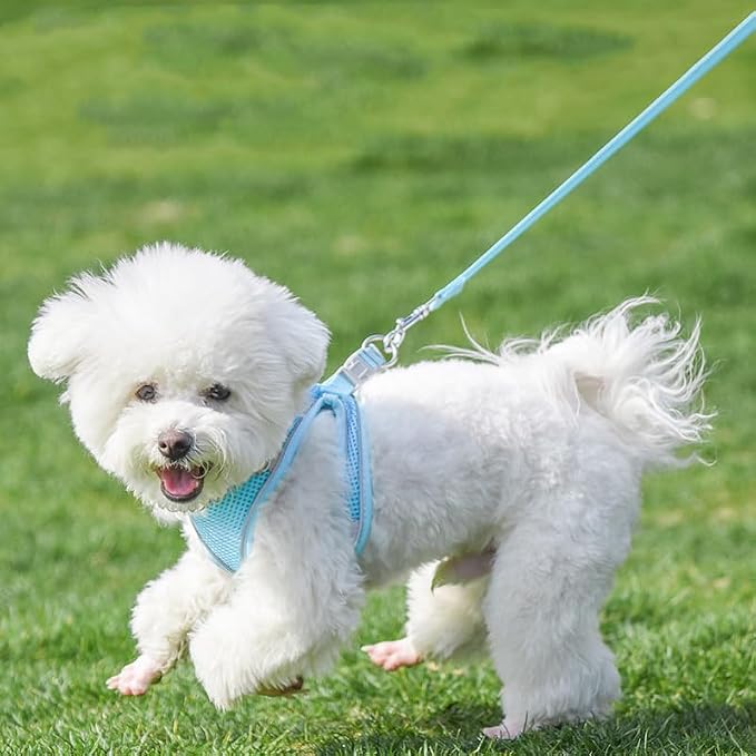 AIITLE Dog Harness and Leash Set, Step-in Puppy Pet Vest, Pure Blue M | Breathable Mesh, Adjustable Fit, Reflective Design, Padded Leash Handle, for Small-Medium Dogs & Cats, Walking, Training - Image 4