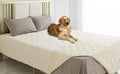 Ameritex Waterproof Dog Bed Cover Pet Blanket with Anti-Slip Back for Furniture Bed Couch Sofa by Ameritex