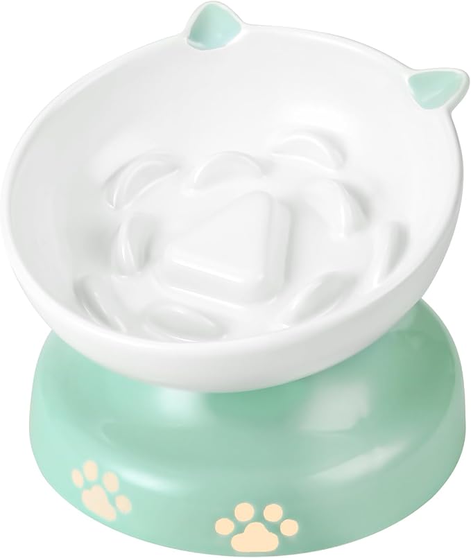 Y YHY Slow Feeder Cat Bowl, Ceramic Elevated Cat Bowl Tilted Design Slow Feeder for Dog and Cat for Dry and Wet Food, Green by YYHY