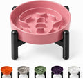Elevated Slow Feeder Dog Bowl, 0.8 Cups Ceramic Raised Slow Feeder with Stainless Stand, 6.3 Inch Wide Lifted Dog Bowl for Small Breeds to Control Eating Speed, Pink by PTOBER