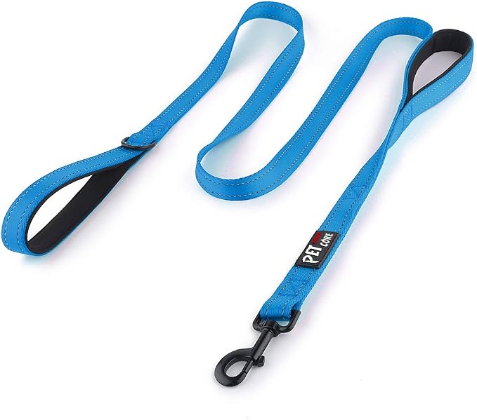 Plutus Pet Double Handle Dog Leash, 6 FT Long, for Medium Large Dogs | Reflective Nylon, Soft Padded 2 Handles, Heavy Duty for Training, Dual Handle Lead, 6 FT x 1”, Light Blue by PLUTUSPET