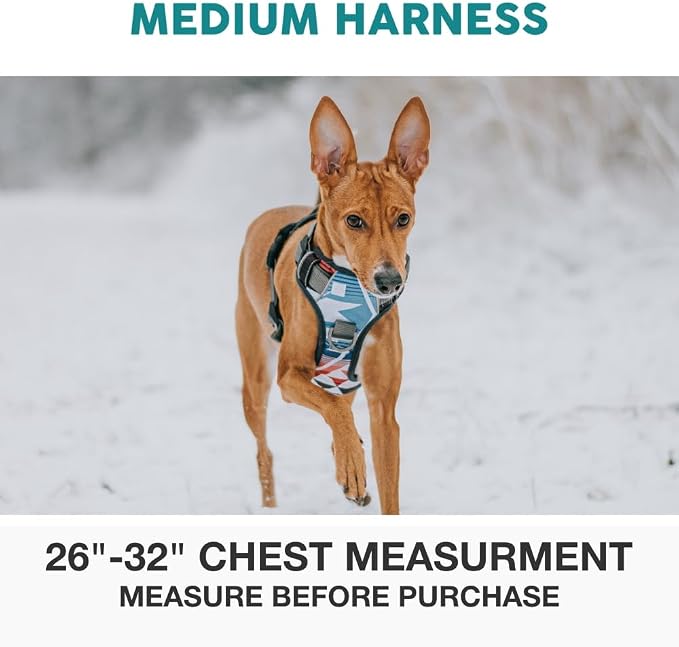 Embark No Pull Dog Harness, Reflective Adjustable Training Vest, No Choke | Adjustable straps fit all dog breeds with sturdy hooks; 360° reflective trim, soft padded Harness Design for All Dogs - Image 2