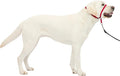 PetSafe Gentle Leader Headcollar No-Pull Dog Collar - Helps Improve Walks - Durable Nylon Construction - Padded Nose Loop - Adjustable Fit - Comfort Walking Halter - Large, Red | Veterinary Behaviorist-Designed No-Pull Headcollar Redirects Pulling Inst... by PetSafe