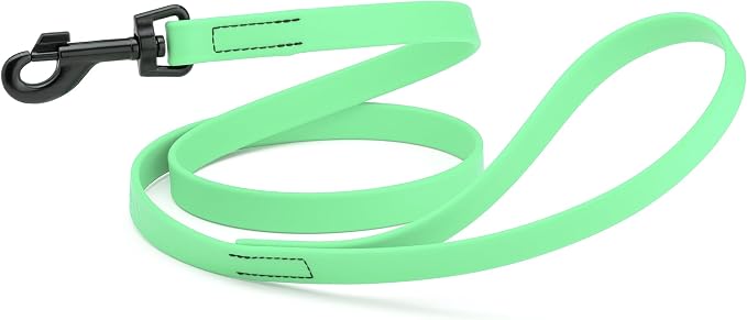 Dogline Biothane Waterproof Dog Leash Strong Coated Nylon Webbing with Black Hardware Odor-Proof Easy to Clean High Performance for Small or Large Dogs Made in USA 4 or 6 ft Lead, Sea Foam Green by Dogline