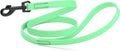 Dogline Biothane Waterproof Dog Leash Strong Coated Nylon Webbing with Black Hardware Odor-Proof Easy to Clean High Performance for Small or Large Dogs Made in USA 4 or 6 ft Lead, Sea Foam Green by Dogline