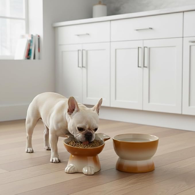 Nihow Dog Food & Water Bowls: Elevated Ceramic Bowls for Medium/Small Dog | Food Safe Raised Puppy Bowls - Brown Pet Bowl for Protecting Pet's Spine (Set of 2) - Image 6