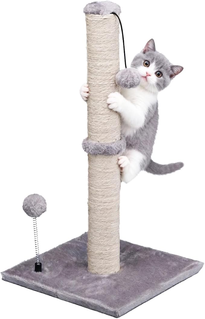 MECOOL Cat Scratching Post Premium Basics Kitten Scratcher Sisal Scratch Posts with Hanging Ball 22" for Kittens or Smaller Cats (22 inches for Kitten, Gray) by MECOOL