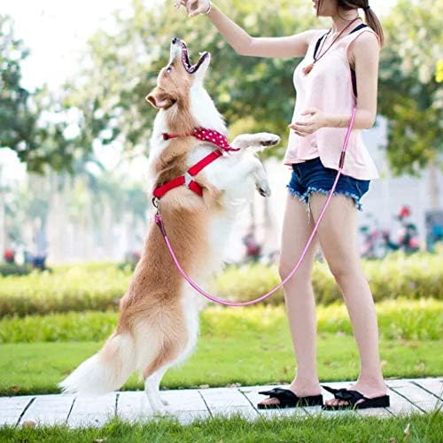 MayPaw 4/6 /8/10 FT Dog Leash, Classic Solid Colors, Strong Nylon Rope Dog Leash Reinforced with Leather Tailor Connection Heavy Duty Silver Clasp (Pink, 4ft*1/2") - Image 6