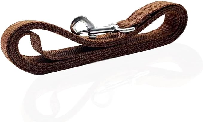 Nylon Dog Leash 4 Ft 5 Feet 6 Foot Long, Walking Training Dog Leashes for Medium Large Dogs, 1 Inch Wide (5/8" X 6 ft, Brown) - Image 3