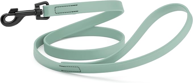 Dogline Biothane Waterproof Dog Leash Strong Coated Nylon Webbing with Black Hardware Odor-Proof Easy to Clean High Performance for Small or Large Dogs Made in USA 4 or 6 ft Lead, Sage Green by Dogline