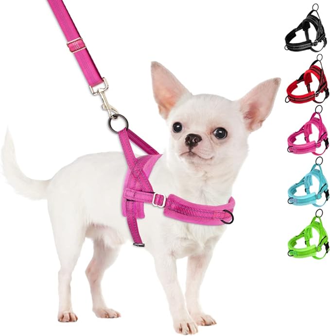 SlowTon No Pull Small Dog Harness and Leash Set with Front Clip | Soft Padded, Neck & Chest Adjustable, Lightweight, Anti-Twist, Puppy Vest Harness Pet Lead Combo for Small Medium Dog, FU, M by SlowTon