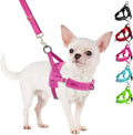 SlowTon No Pull Small Dog Harness and Leash Set with Front Clip | Soft Padded, Neck & Chest Adjustable, Lightweight, Anti-Twist, Puppy Vest Harness Pet Lead Combo for Small Medium Dog, FU XS by SlowTon