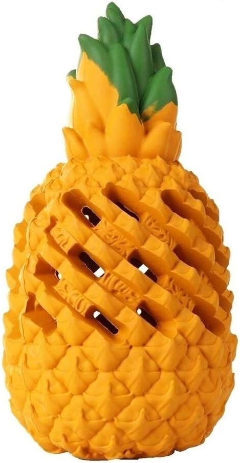 Teething Chew Toys for Puppy Small Dogs, Interactive Dog Toys to Keep Them Busy Puppies Tough Dog Dental Clean Toys by EnjoyOurLifewithPets