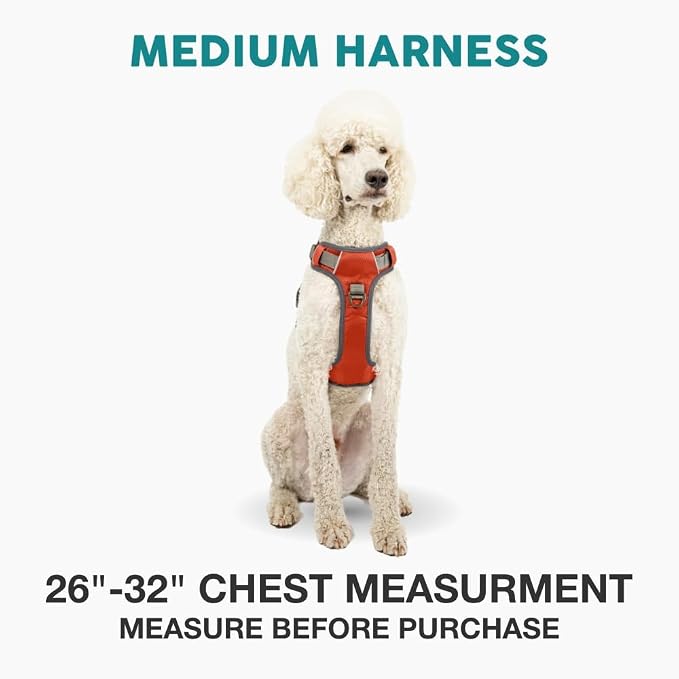 Embark No Pull Dog Harness, Reflective Adjustable Training Vest, No Choke | Adjustable straps fit all dog breeds with sturdy hooks; 360° reflective trim, soft padded Harness Design for All Dogs - Image 2