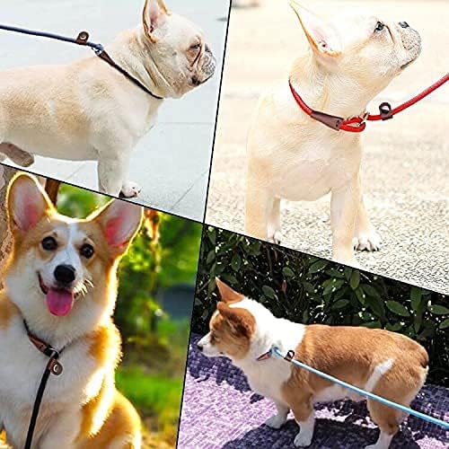 MayPaw Slip Lead Control Leash for Dogs No Pull 7 FT Pet Slip Leash, 1/4 in | 13+ Colors Classic Dog Lead Rope Leashes for Small Medium Animals (7ft*1/4", Yellow) - Image 9