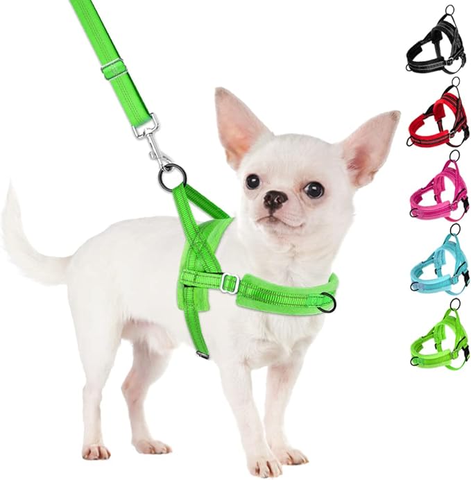 SlowTon No Pull Small Dog Harness and Leash Set with Front Clip | Soft Padded, Neck & Chest Adjustable, Lightweight, Anti-Twist, Puppy Vest Harness Pet Lead Combo for Small Medium Dog, G XS by SlowTon