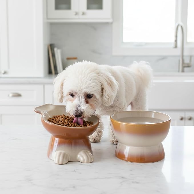 Nihow Dog Food & Water Bowls: Elevated Ceramic Bowls for Medium/Small Dog | Food Safe Raised Puppy Bowls - Brown Pet Bowl for Protecting Pet's Spine (Set of 2) - Image 4