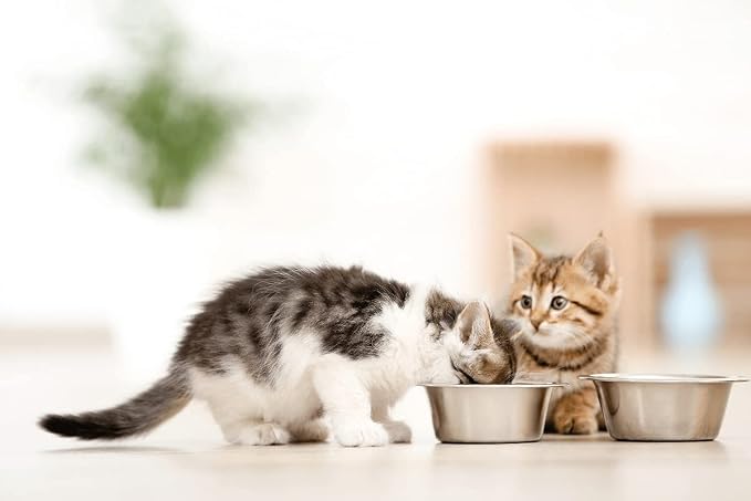 HB 2.5 Cups Stainless Steel Dog and Cat Bowls Small - 6.2" Diameter | fits Raised Pet Feeders with Opening 5.4"- 5.8" (2-Pack) - Image 8