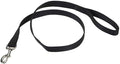 Coastal Pet Single-Ply Dog Leash - Sturdy Pet Leash - Comfortable & Stylish - Resists Fraying - Vibrant & Fade-Resistant Color - Black, 3/4" x 6' by CoastalPet