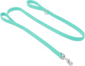 Waterproof Dog Leash with Double Handle, 6 FT Durable Odor-Proof Dog Leashes with Strong Aviation Aluminum Hooks Fits Small Medium or Large Dogs by KiddingPets