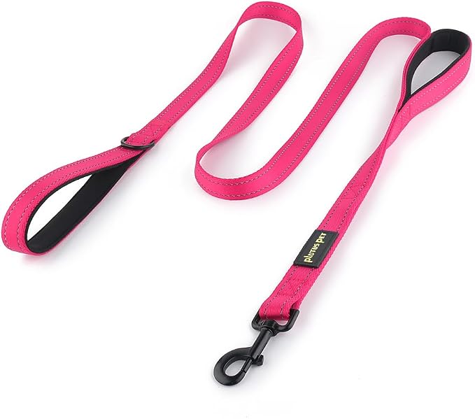 Plutus Pet Double Handle Dog Leash, 6 FT Long, for Medium Large Dogs | Reflective Nylon, Soft Padded 2 Handles, Heavy Duty for Training, Dual Handle Lead, 6 FT x 1”, Pink by PLUTUSPET