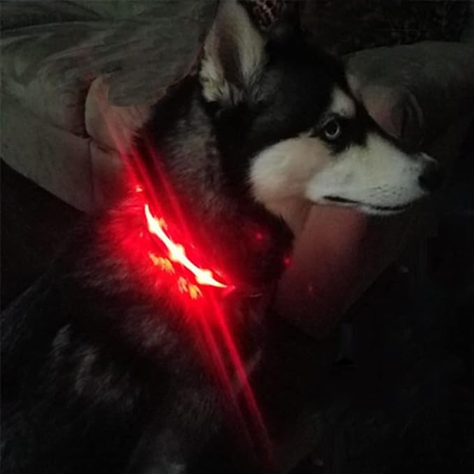 MASBRILL Led Dog Collar, Rechargeable Light Up Collar with Flashing Glow for Night Safety - Image 2